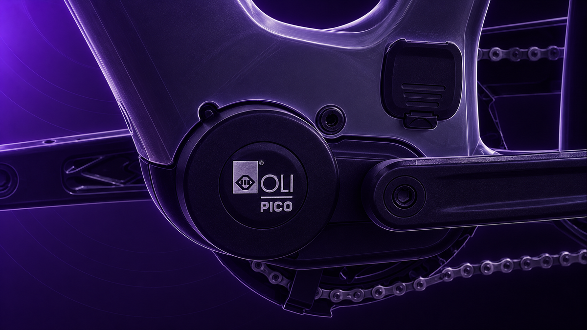 Raymon Numa 2027 mit OLI PICO Motor, Rahmenanschluss und Kurbel im dunklen violetten Tretmaschine-Skizzenstil