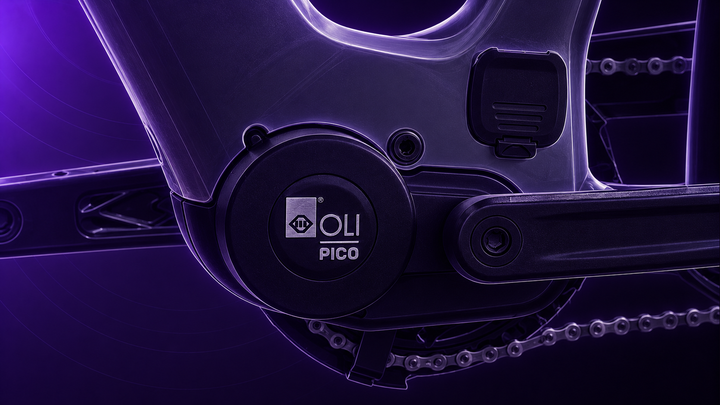Raymon Numa 2027 mit OLI PICO Motor, Rahmenanschluss und Kurbel im dunklen violetten Tretmaschine-Skizzenstil