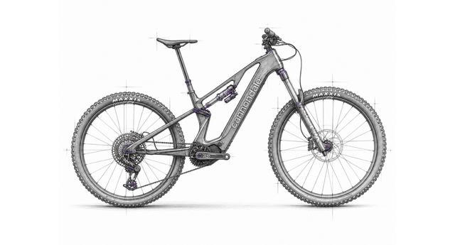 E-MTB Fully