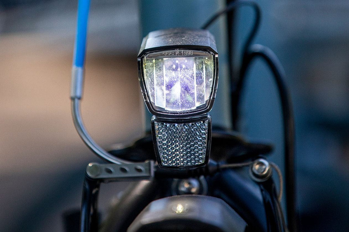 Van Raam Maxi – Detailansicht. Ausstattung kann abweichen.