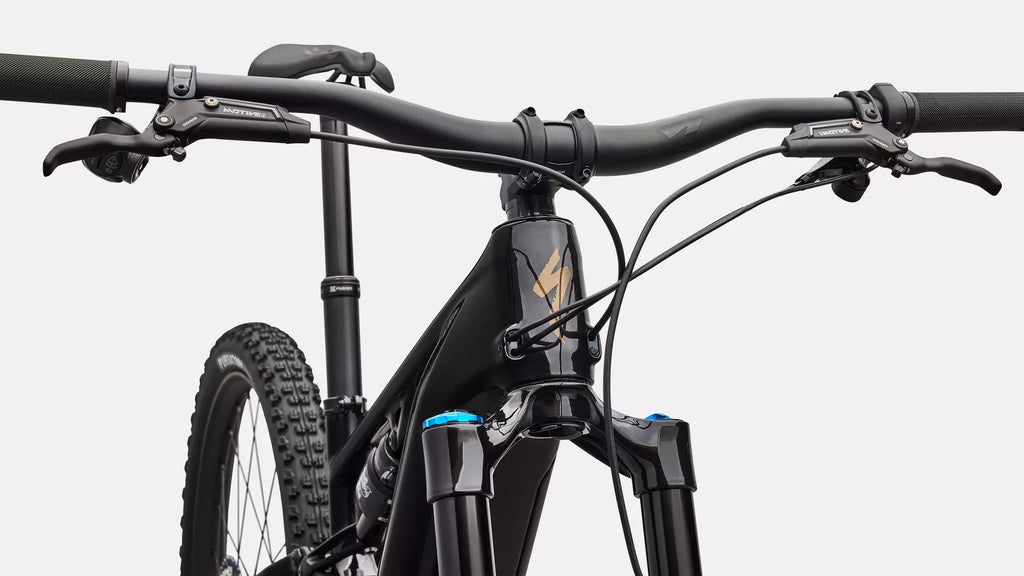 Specialized Turbo Levo R Expert 2026 - Gloss Carbon / Burnt Gold Metallic – Ansicht 5