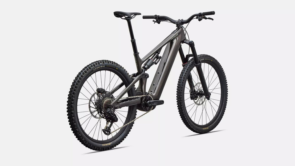 Specialized Levo 4 EVO Comp 2027 - Gloss Warm Smoke / Pistachio – Ansicht 3
