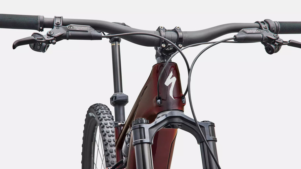 Specialized Turbo Levo R Pro 2027 - Gloss Black Red Chameleon / Dolomite – Ansicht 5