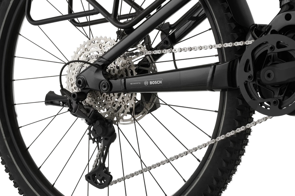 Cannondale Moterra Neo EQ - Black Pearl