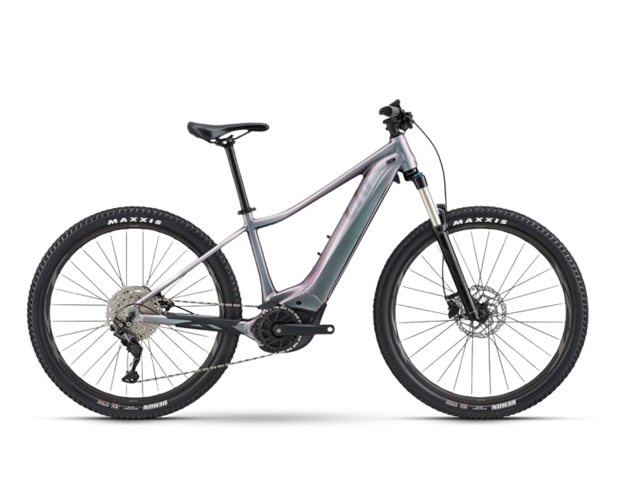 Liv Vall E+2 - Echeveria