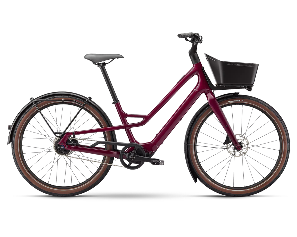 Specialized Como SL 4.0 - Raspberry / Transparent