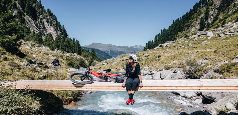 Specialized E-Bike Levo