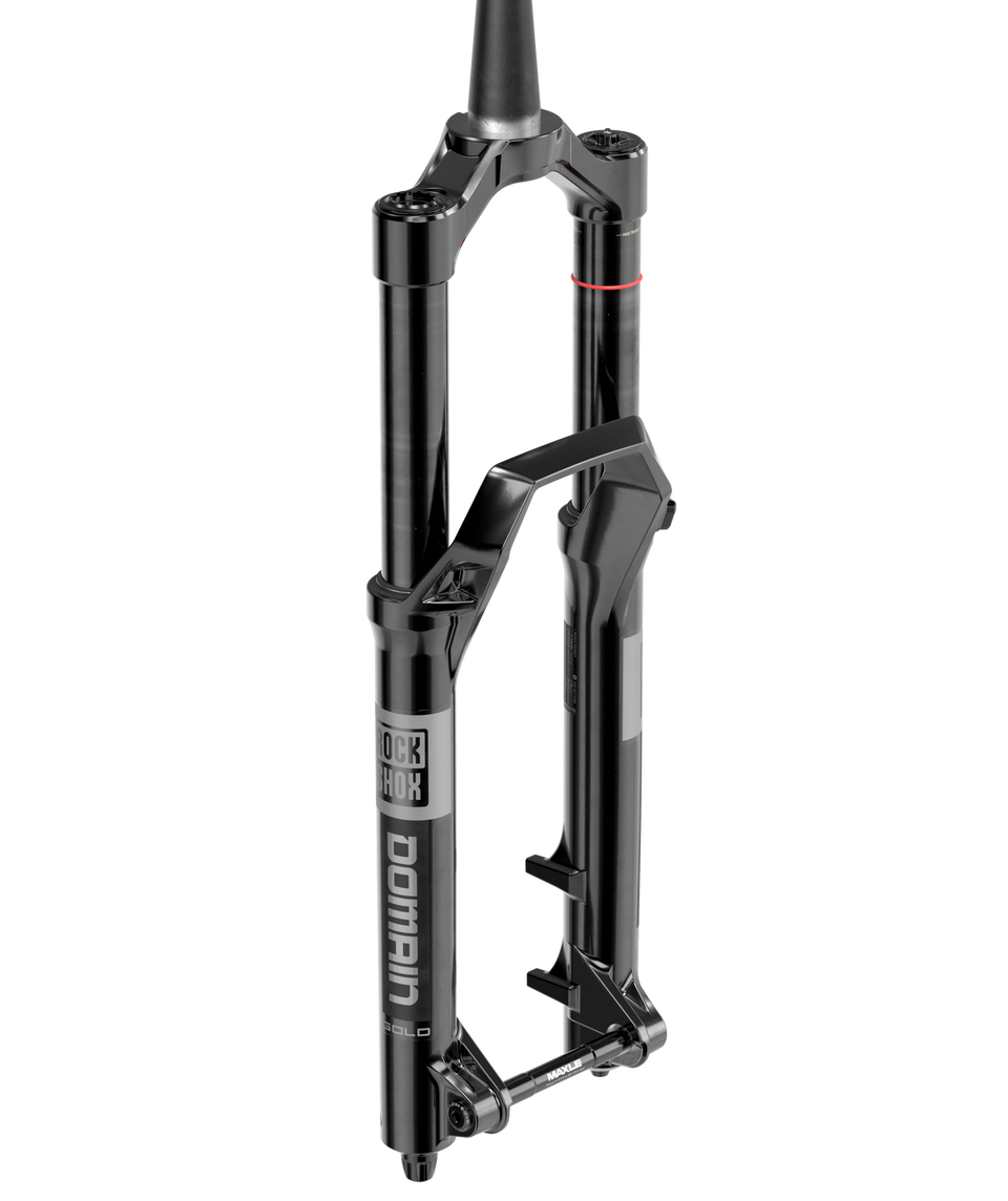 RockShox Domain Gold R