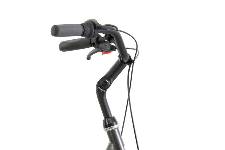 Detailansicht Lenker pfautec Dreiradmodell Lano FM