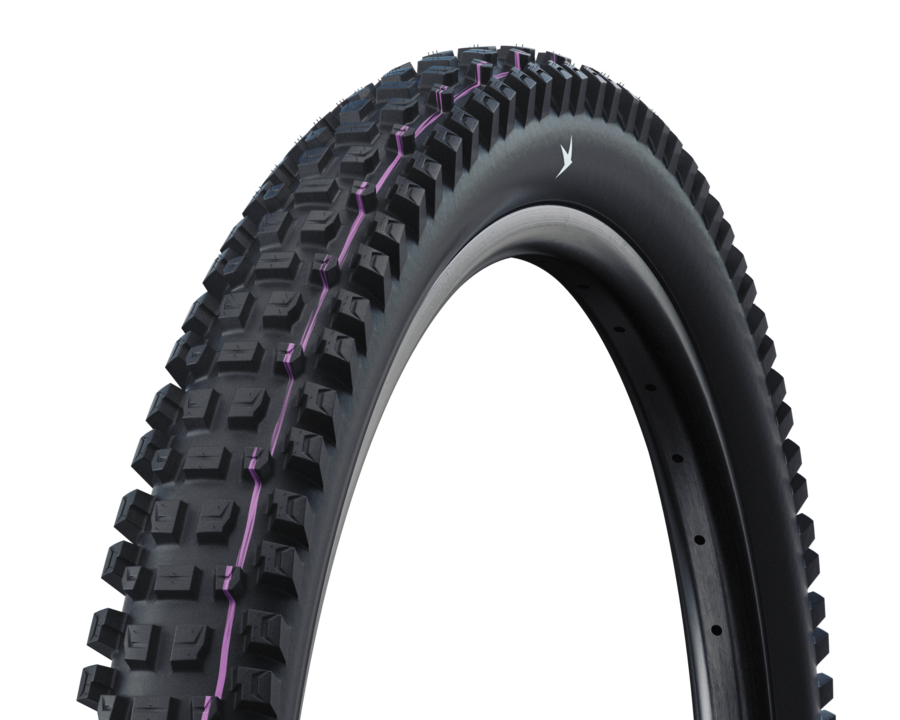 Schwalbe Albert