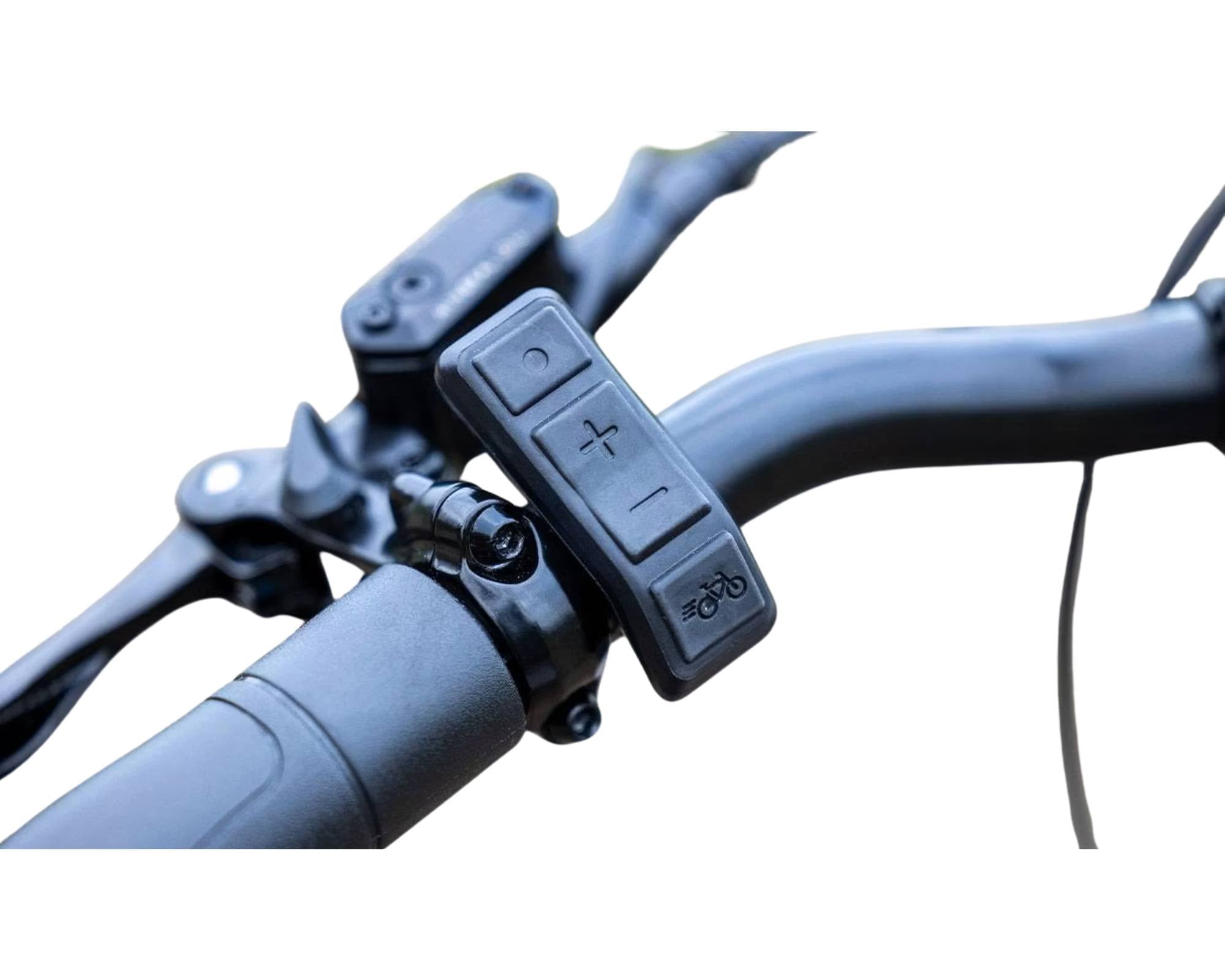 vanRaam Easy Rider Compact
