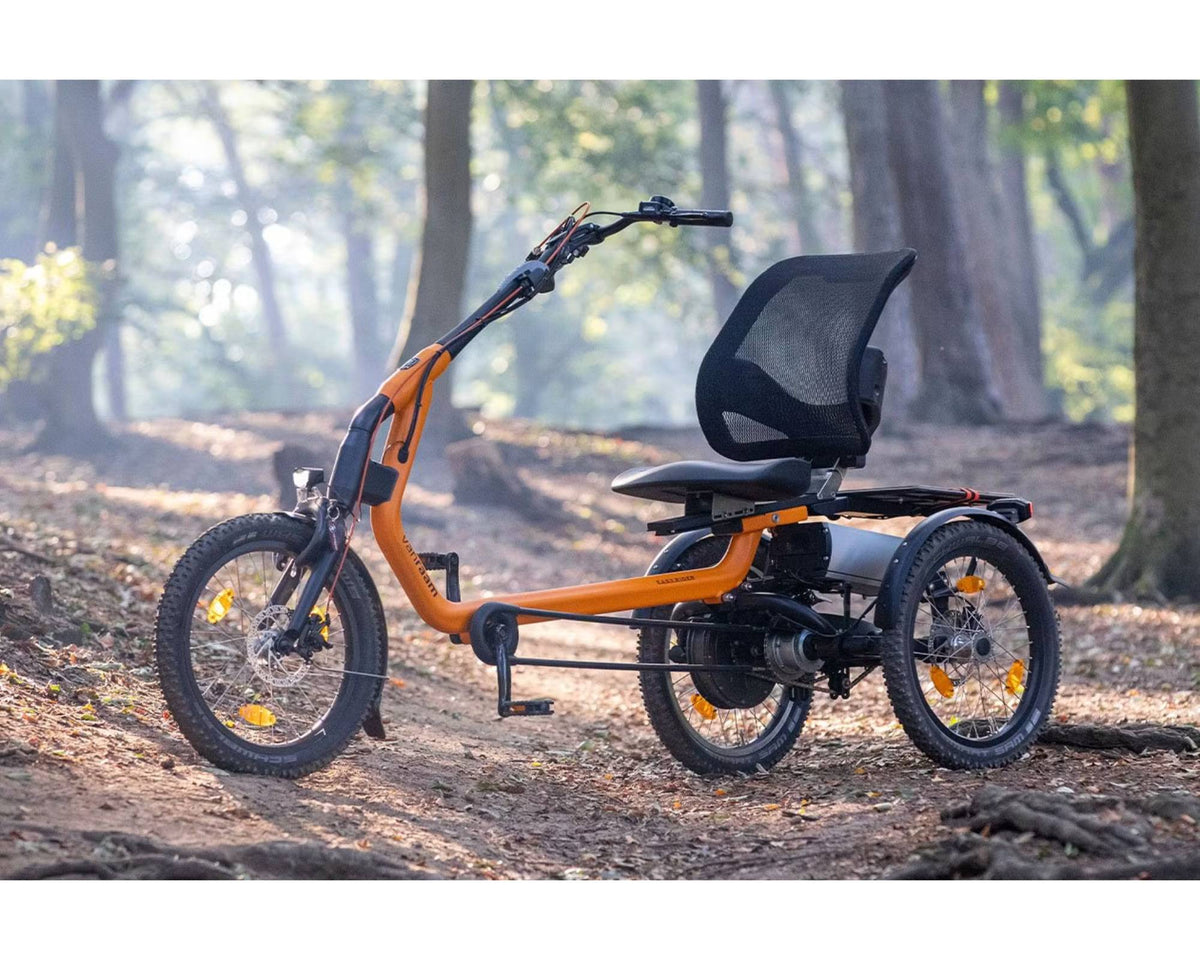 Van Raam Easy Rider 3 im Grünen. Abgebildete Ausstattung kann abweichen.